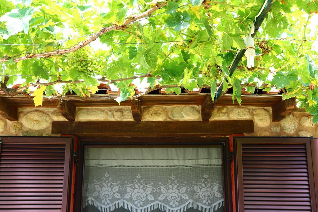 Villa Agapitos Sithonia Kültér fotó